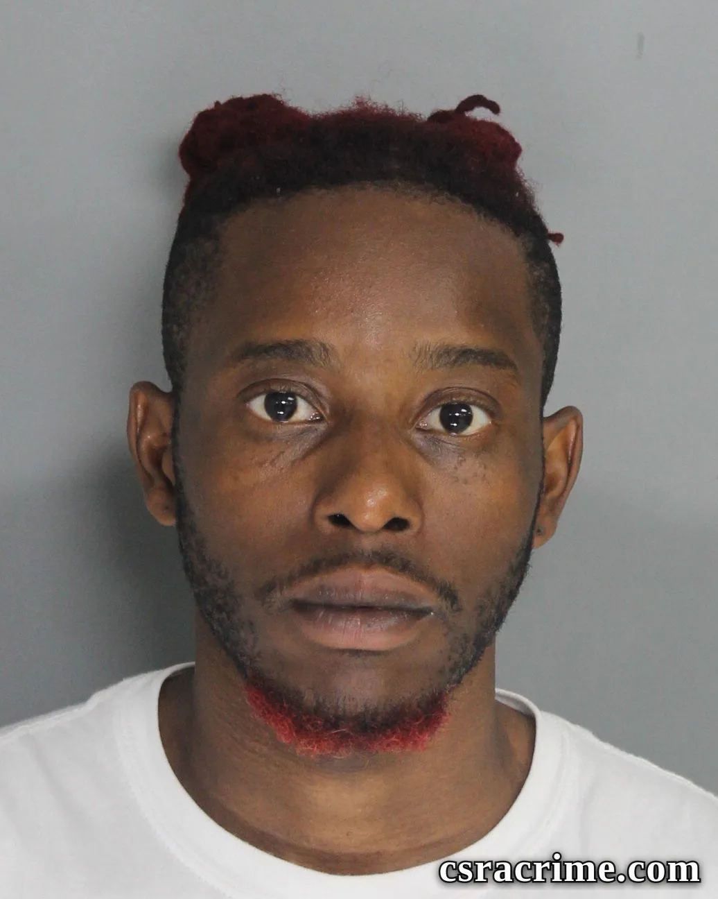 Prince Dennis booking photo