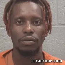 Prince William Dennis booking photo