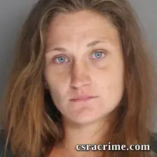 Priscilla Anderson booking photo