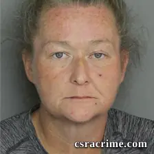 Priscilla Riley booking photo