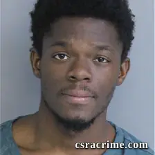 Quenez Robinson booking photo