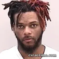 Queysean Johnson booking photo