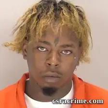 Quincy Mims booking photo