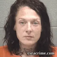 Rachael Ann Lucas booking photo