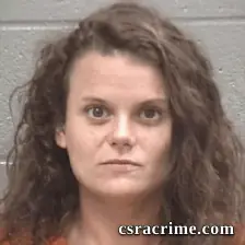 Rachel Lee Goodwin booking photo