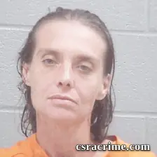 Rachel Sprouse booking photo