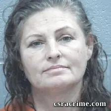 Rachel Tootle booking photo