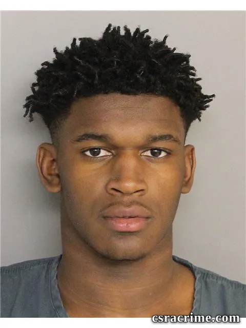 Rakish Jenkins booking photo
