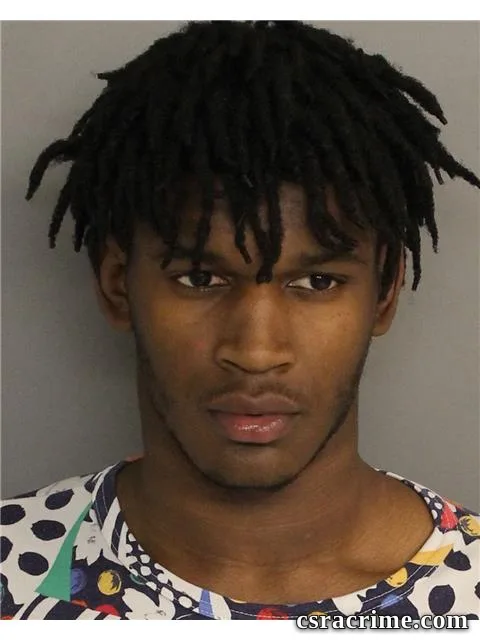 Rakish Jenkins booking photo