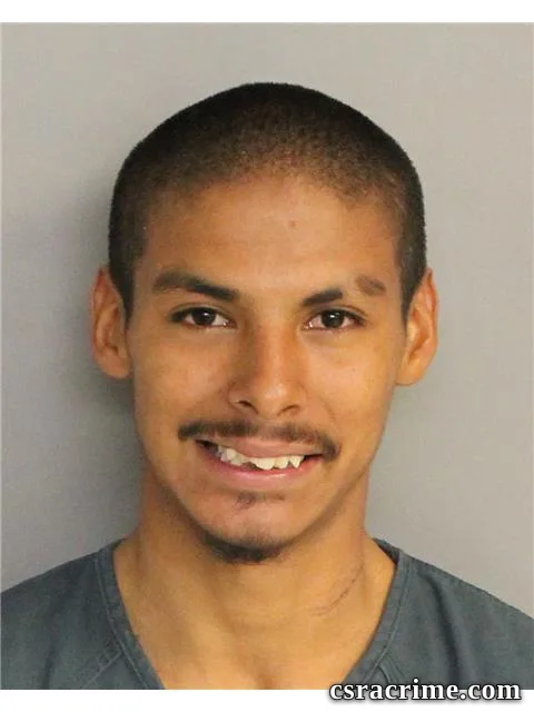 Ramon Delgado booking photo