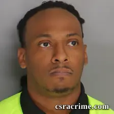 Randee Pollin booking photo