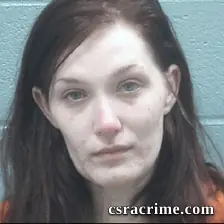 Randi Mcchesney booking photo