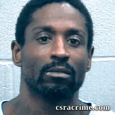 Randi Parks booking photo