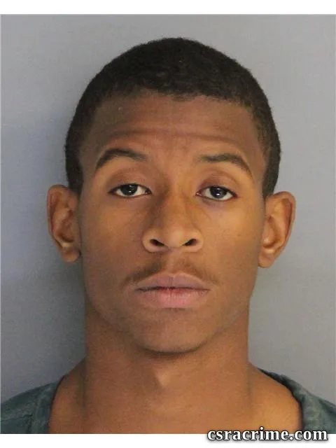 Raphael Wooden booking photo