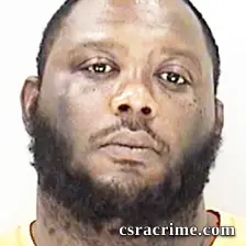 Rashada Johnson booking photo