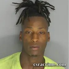 Raven Robinson booking photo