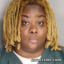 Raven Tyler booking photo