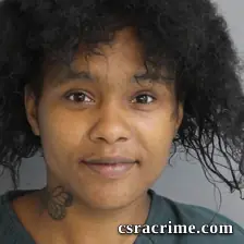 Raykeema Butler booking photo