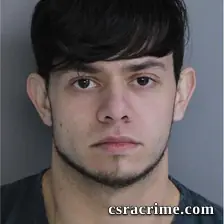 Raymond Horvath III booking photo