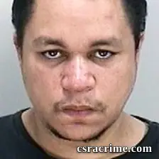 Raymond Mcneary JR booking photo