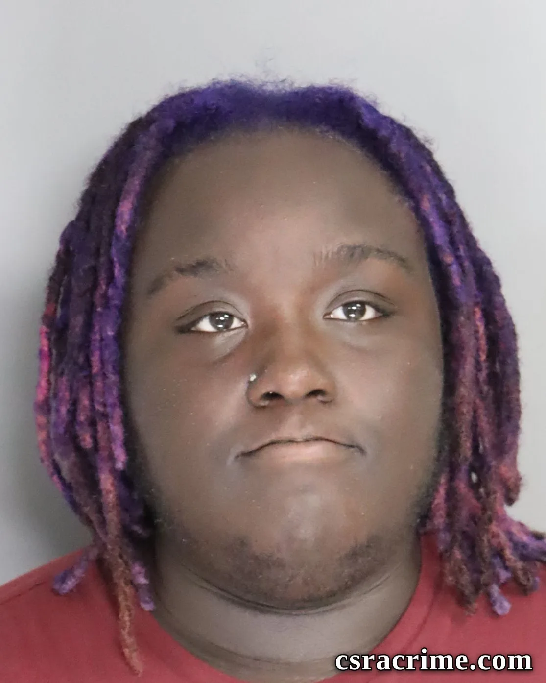 Rayshawn James booking photo