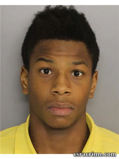 Rayshawn Williams booking photo