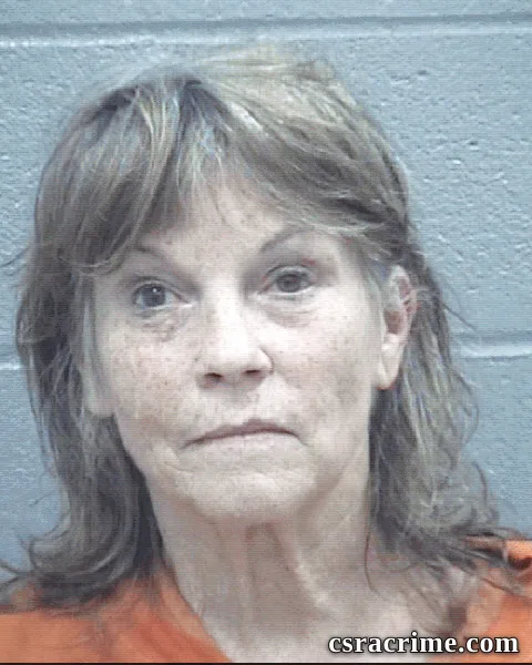 Rebecca Hawkins booking photo
