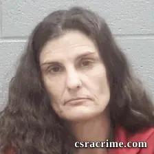 Rebecca Perkins booking photo