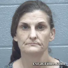Rebecca Perkins booking photo