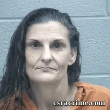Rebecca Perkins booking photo