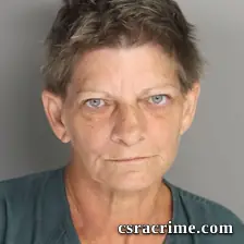 Rebecca Simmang booking photo