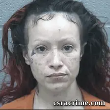 Rebekah De Jesus booking photo