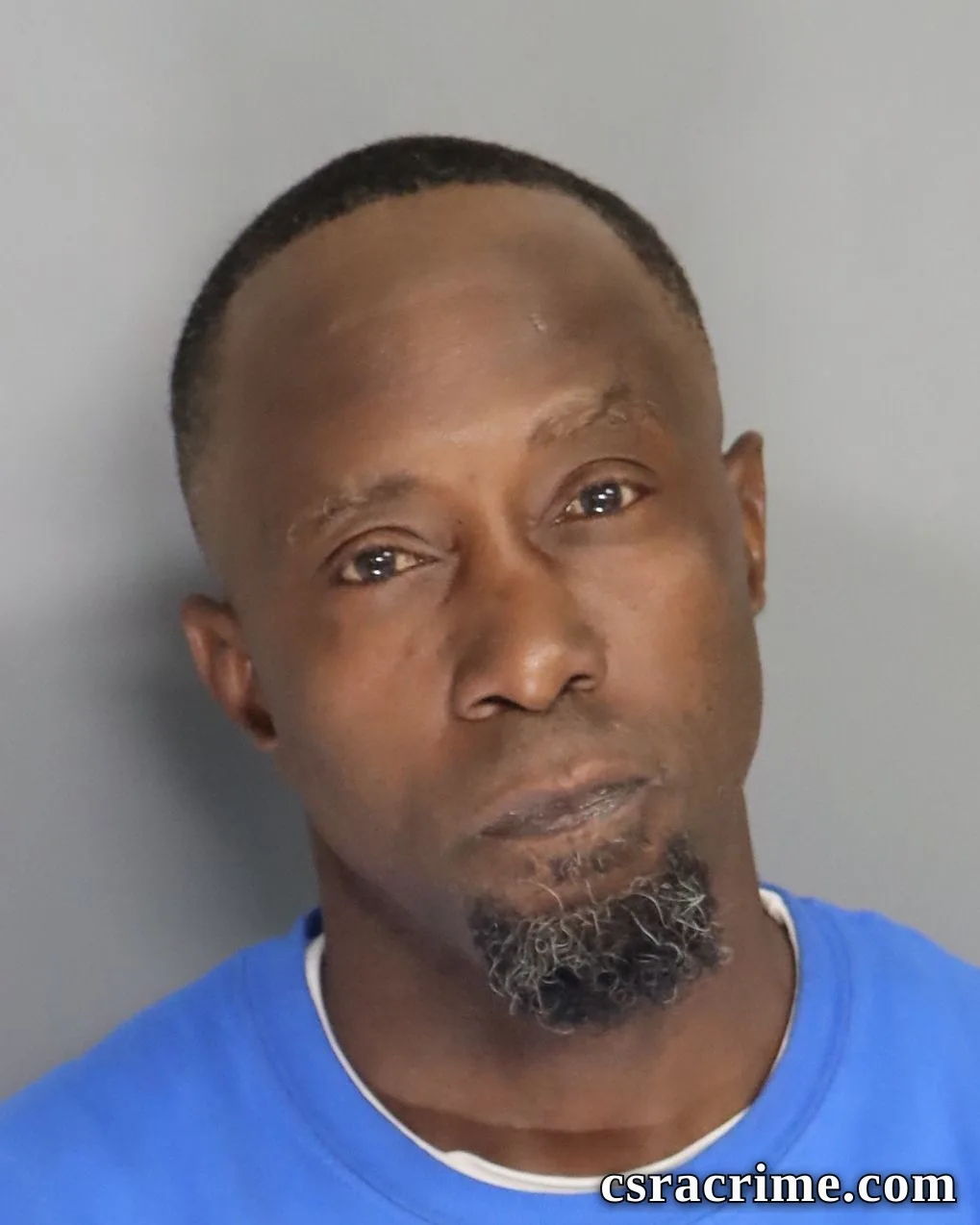 Recordo Mealing booking photo