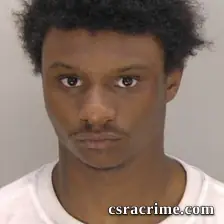 Reginald Dewayne-Trison, Young III booking photo