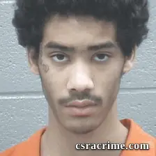 Reginald Dishmond booking photo