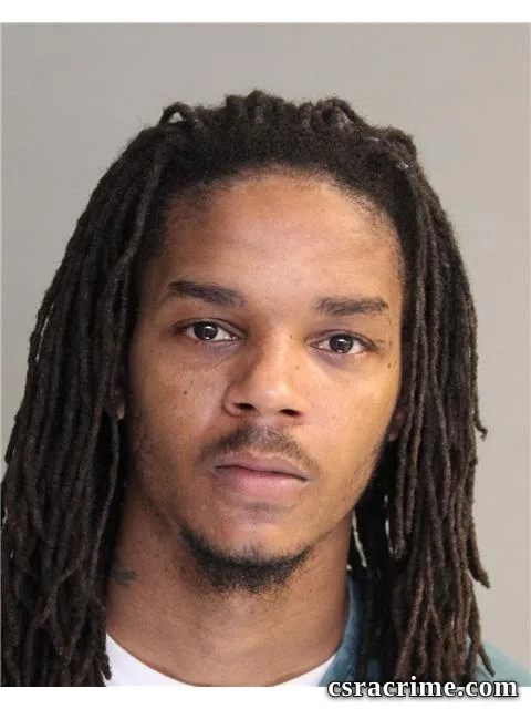 Reginald Hamilton JR booking photo