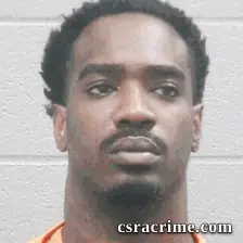 Reginald Johnson booking photo