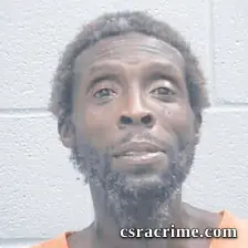 Reginald Johnson booking photo