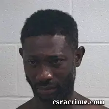 Reginald Lacourtney Bailey booking photo