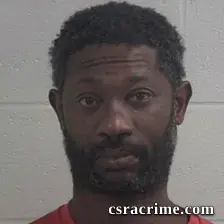 Reginald Lacourtney Bailey booking photo
