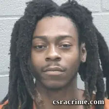 Reginald Weathers JR booking photo