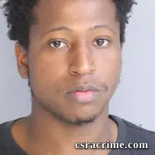 Reginald Williams booking photo