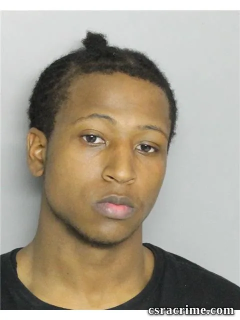 Reginald Williams booking photo