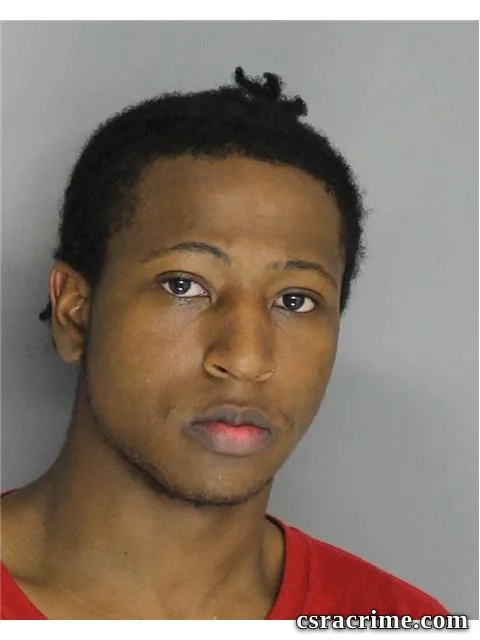 Reginald Williams booking photo