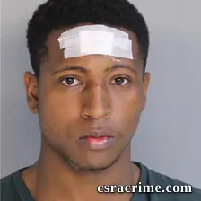 Reginald Williams booking photo