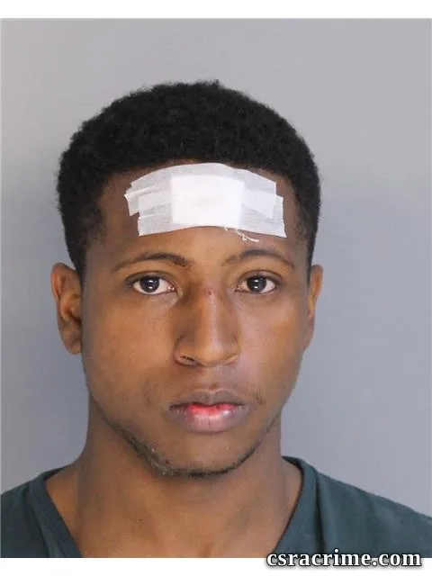 Reginald Williams booking photo