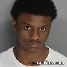 Reginald Young III booking photo