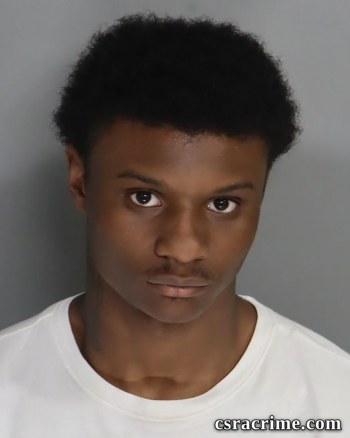 Reginald Young III booking photo