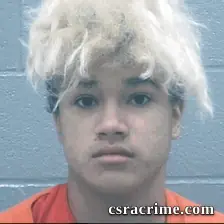 Reid Cole booking photo