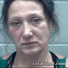 Renea Levine booking photo
